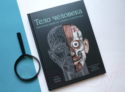 Книга МИФ Тело человека. Интерактивная книга-панорама (Уолкер Р., Колдуэлл Р.)