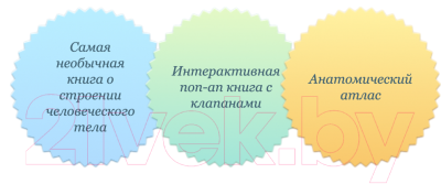 Книга МИФ Тело человека. Интерактивная книга-панорама (Уолкер Р., Колдуэлл Р.)