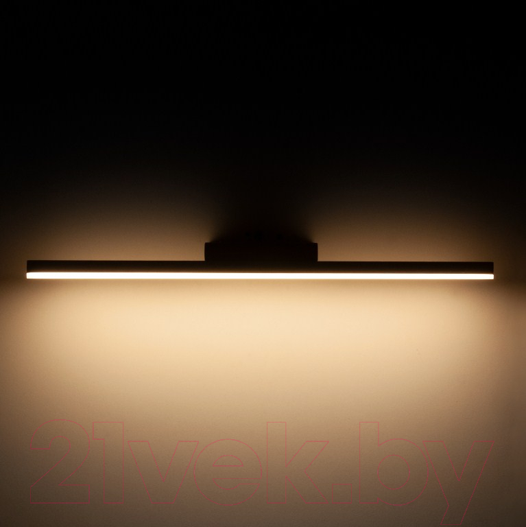 Подсветка для картин и зеркал Elektrostandard Protect MRL LED 1111 (белый) — фото 2