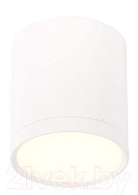Точечный светильник ST Luce Rene ST113.532.05