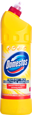 Чистящее средство для унитаза Domestos Citrus Fresh с дезинфицирующим эффектом (1.25л)