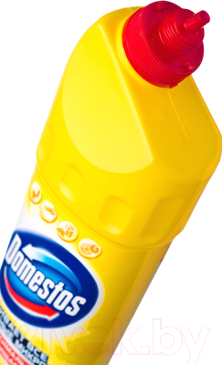 Чистящее средство для унитаза Domestos Citrus Fresh с дезинфицирующим эффектом (1.25л)