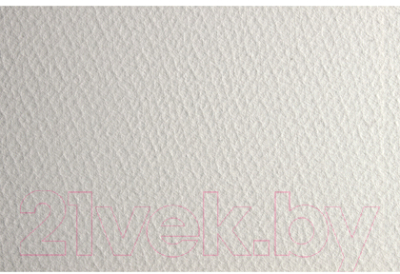 

Бумага для рисования Fabriano, Artistico Traditional White / 31030079