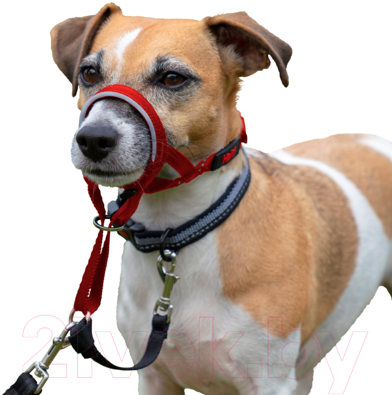 Недоуздок Halti Headcollar Size 1 11409/COA/HH014 (красный) — фото 7