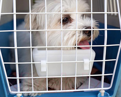 Изображение товара Переноска для животных Ferplast Atlas 20 Open / 73016099 (голубой)