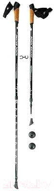 Палки для скандинавской ходьбы Kaiser Sport Nordic Walking / SL-2B-2-135-B (черный)