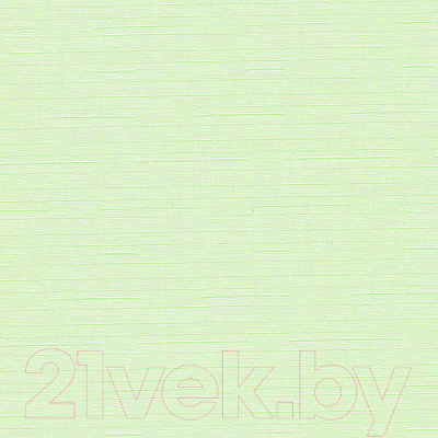 Рулонная штора Эскар 37x170 / 310170371701 (светло-зеленый)