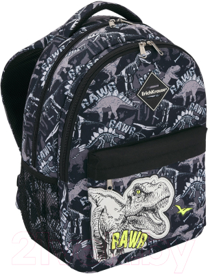 Школьный рюкзак Erich Krause EasyLine 20L Dinosaur Park / 51629