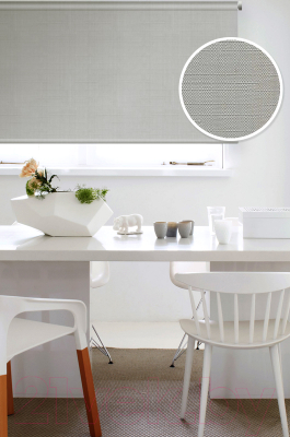 Изображение товара Рулонная штора Эскар 48x170 / 310200481701 (серый)