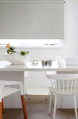 Изображение товара Рулонная штора Эскар 48x170 / 310200481701 (серый)