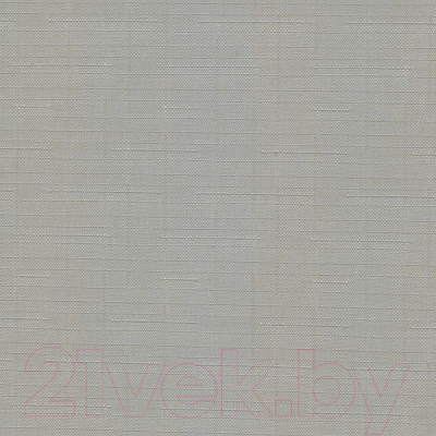 

Рулонная штора Эскар, 90x170 / 310200901701