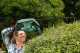 Миниатюра изображения товара Кусторез электрический Bosch EasyHedgeCut 45 (0.600.847.A05)