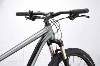 Велосипед Cannondale Trail 4 29 M 2020 / C26450M102X (2XL)