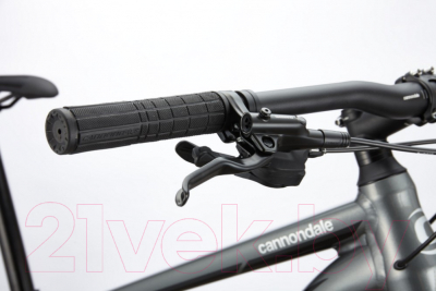 Велосипед Cannondale Trail 4 29 M 2020 / C26450M10LG (L)