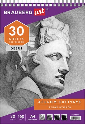 Скетчбук Brauberg Art Debut / 110985 (белая бумага) - 