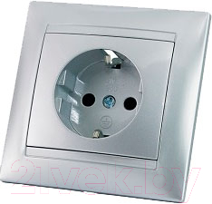 Розетка TDM Лама SQ1815-0223 (серебристый металлик)