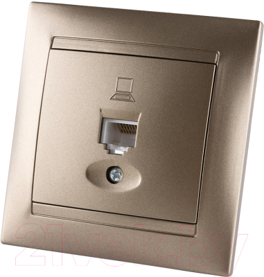 

Розетка TDM, Лама SQ1815-0716