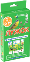 

Развивающие карточки Айрис-пресс, Лужок. Природные сообщества