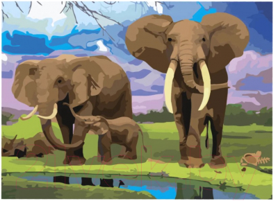 

Картина по номерам Остров Сокровищ, Слоны / 661630