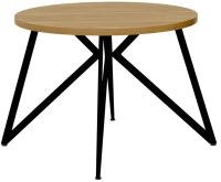 Обеденный стол Millwood Женева Л D100x75 (дуб золотой Craft/металл черный) - 
