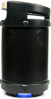 Изображение товара Портативная акустика Dialog AP-1030