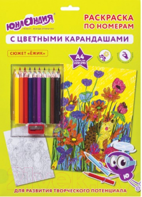

Раскраска Юнландия, Ежик с цветными карандашами / 661608