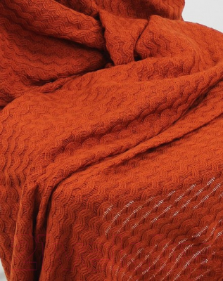 

Плед Polesie, 8С0419-Д43 210x170