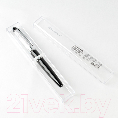 Ручка перьевая Darvish DV-5554