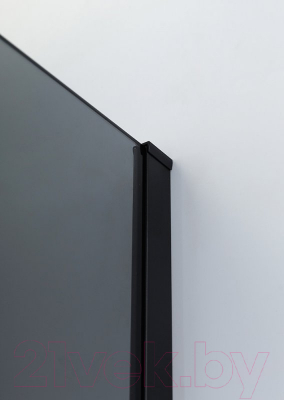 Купить Душевой уголок Cezares SLIDER-AH-1-80-90/100-GRIGIO-NERO в Гродно