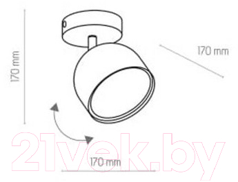 Потолочный светильник TK Lighting Altea 3414