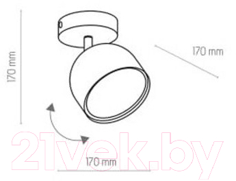 Потолочный светильник TK Lighting Altea 3419