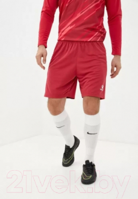 Футбольная форма Kelme Long Sleeve Goalkeeper Suit / 3801286-600 (L, красный)