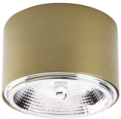 

Точечный светильник TK Lighting, Moris 3349