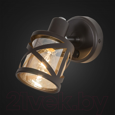 Изображение товара Спот Citilux Гессен CL536615