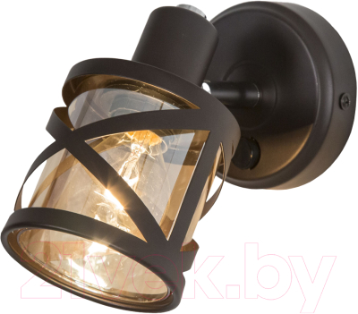 Изображение товара Спот Citilux Гессен CL536615