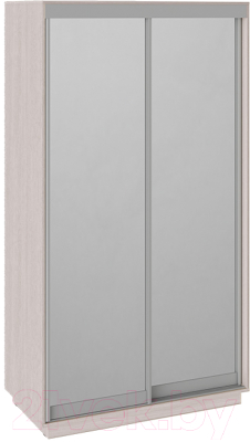 

Шкаф ТриЯ, Румер СШК 1.120.60-13.13 2-х дверный