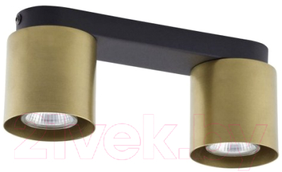 

Потолочный светильник TK Lighting, Vico Gold 6509