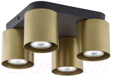 

Люстра TK Lighting, Vico Gold 6511
