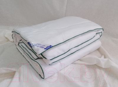 Изображение товара Одеяло Delford Бамбук Стандарт ПВХ 172x205 / 3БХН1-уп11