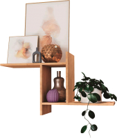 

Полка BTS, Некст 240