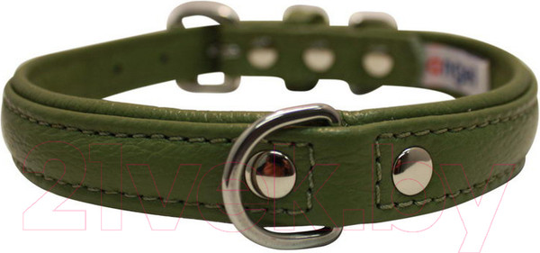 Изображение товара Ошейник Angel Pet Alpine 41004/AG (зеленый)