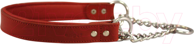 

Ошейник-полуудавка Angel Pet, Rio Martingale 30543/AG