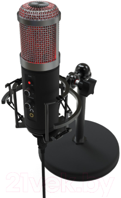 Микрофон Ritmix RDM-260 USB (черный)