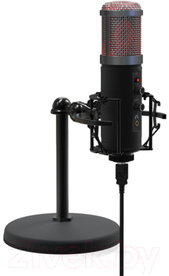 Микрофон Ritmix RDM-260 USB (черный)