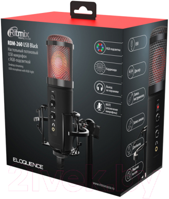 Микрофон Ritmix RDM-260 USB (черный)