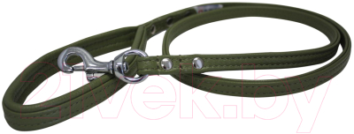 

Поводок Angel Pet, Alpine 40014/AG