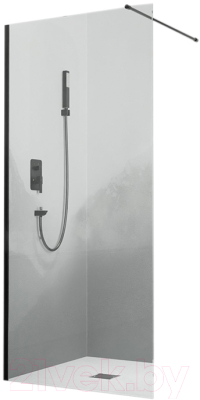 Изображение товара Душевая стенка RGW WA-010 B / 351001008-14 (80x195)