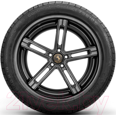 Зимняя шина Continental ContiWinterContact TS 810S 225/50R17 94H BMW