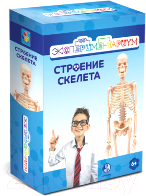 

Набор для опытов 1Toy, Экспериментариум. Строение скелета / Т17574