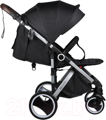 Детская прогулочная коляска Farfello Bino Angel Plus / BP (черный)